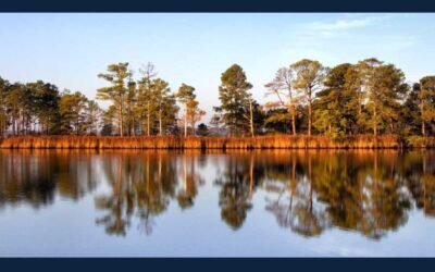 Photographer Showcases An Endangered Landscape: the U.S. Chesapeake Bay