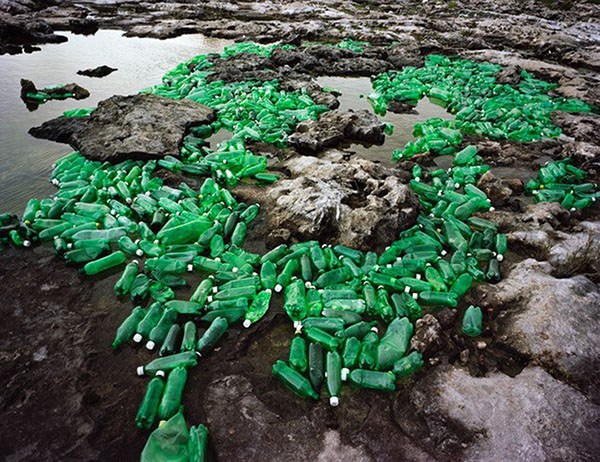 Alejandro Durán, Algas (Algae) from the Washed Up series, 2013. Photograph, 40 x 52 in. Courtesy of the artist. ©2019 Alejandro Durán