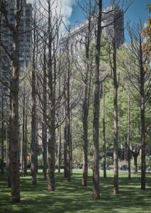 Maya Lin, Installation of Ghost Forest in process in Madison Square Park, 2021. ©Maya Lin 2021. Courtesy of the artist and Madison Square Park Conservancy. Photo: Andy Romer.