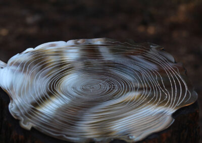 Amy Hoagland, Reflections on the Future. Etched stainless steel. ©Amy Hoagland 2021. Courtesy of the artist.